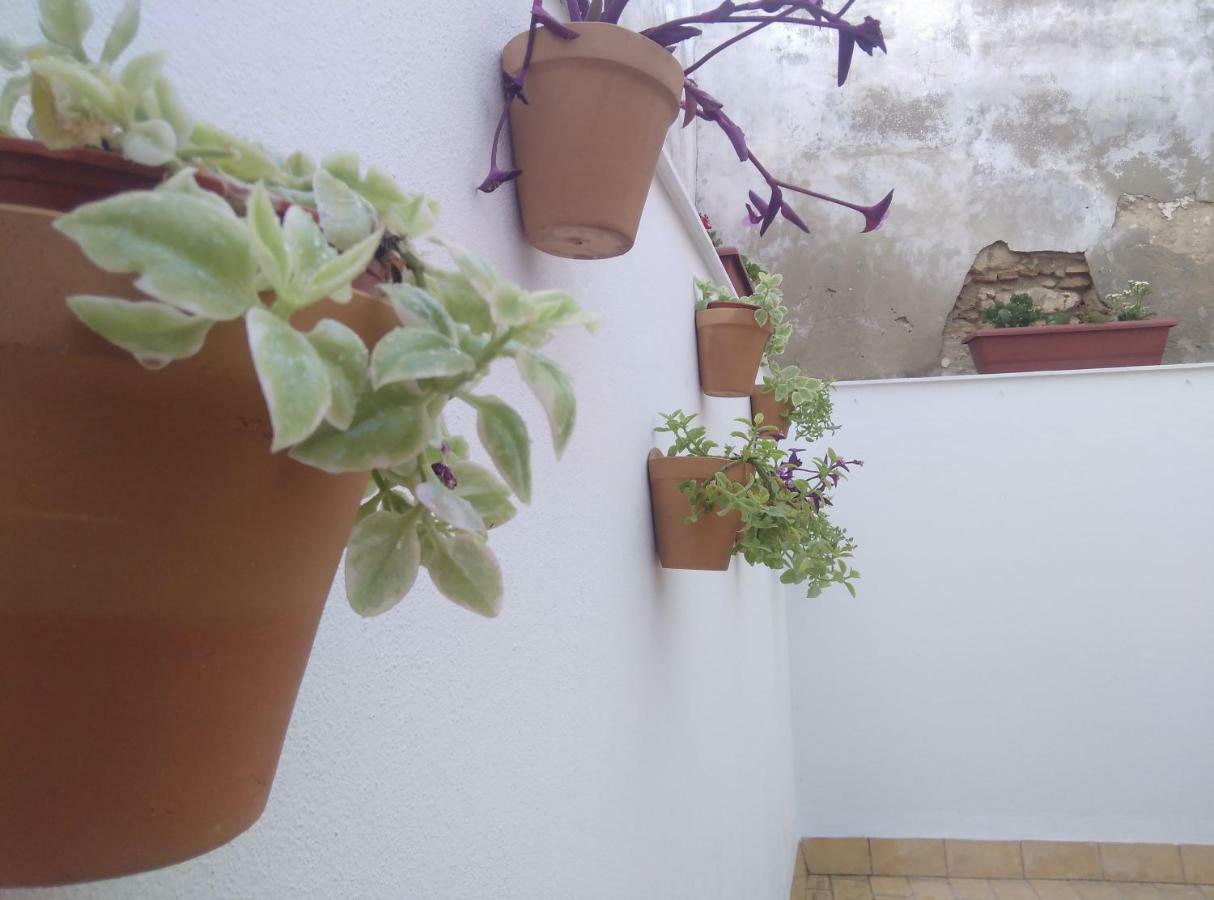 Apartamento Palo Cortao Херес-де-ла-Фронтера Экстерьер фото
